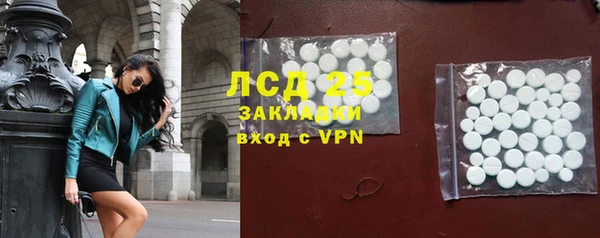 индика Аркадак