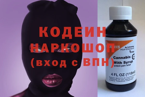индика Аркадак