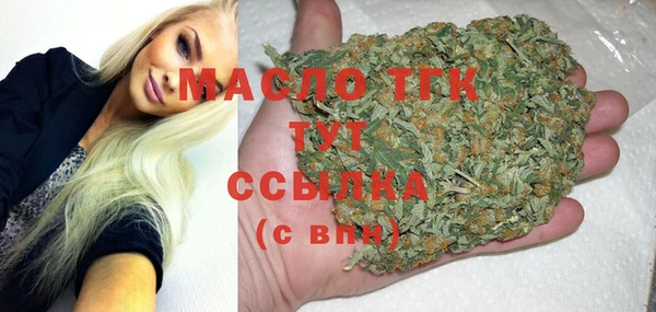 индика Аркадак