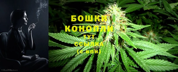 прущие грибы Баксан