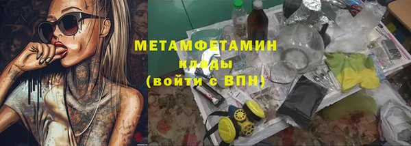 индика Аркадак