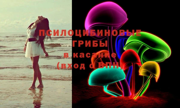 мяу мяу мука Арсеньев