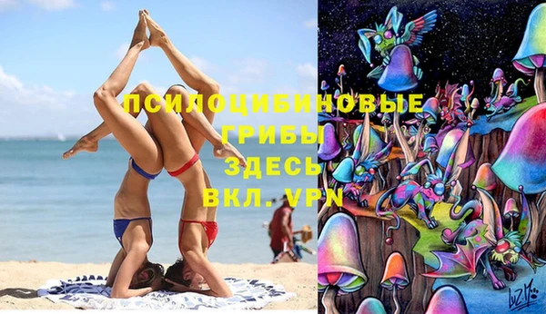 прущие грибы Баксан